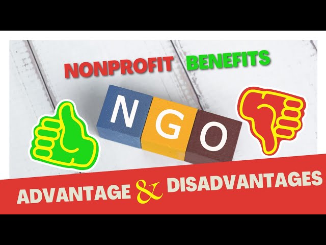 Top 7 Advantages and Disadvantages of NGOs